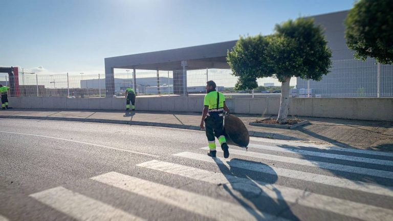 Trabajos de limpieza en viales del polígono Sur-13 en Onda dentro del plan integral de acondicionamiento industrial